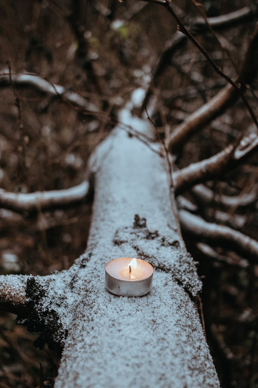 burning white candle on tree trunk