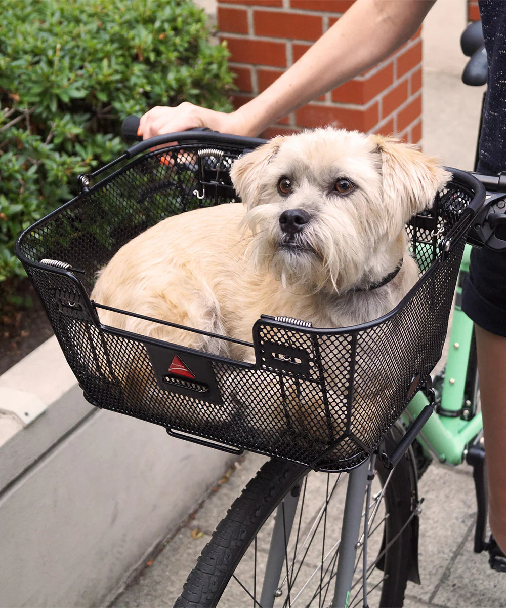 Axiom Q/R Dual-Function Pet Basket Steel Front/Rear Black - Image 4