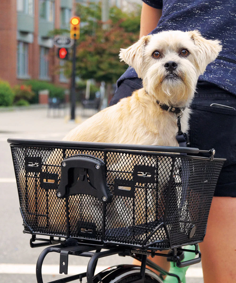 Axiom Q/R Dual-Function Pet Basket Steel Front/Rear Black - Image 5