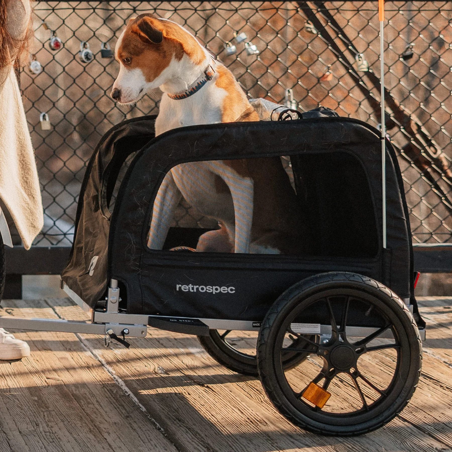 Retrospec - Rover Waggin Pet Trailer - Sun - Image 4