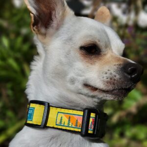 Ice Age Trail Alliance - Ice Age Trail Dog Collar - Small