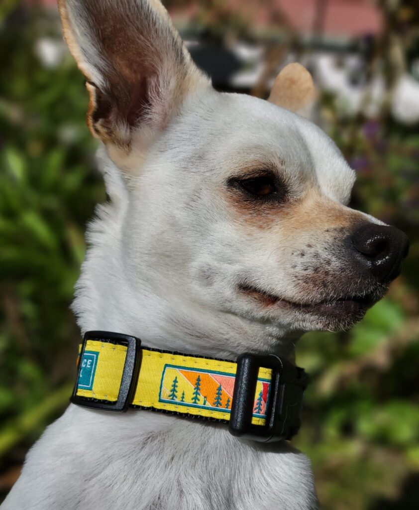 Ice Age Trail Alliance - Ice Age Trail Dog Collar - Small